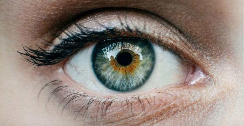 Portrait EMDR